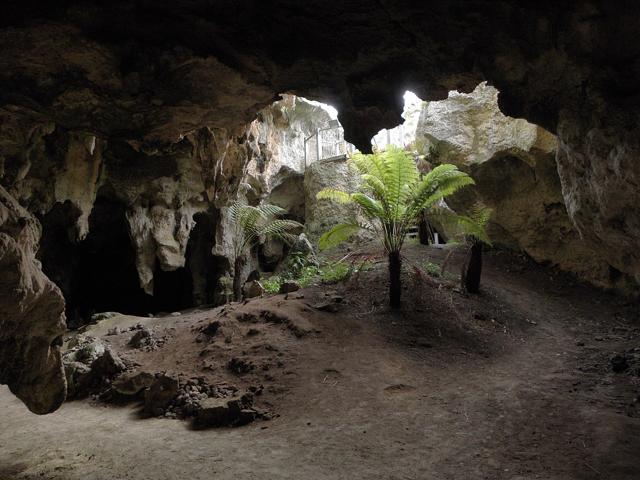 Naracoorte Caves National Park